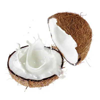 Coconut Cream & Coconut Milk