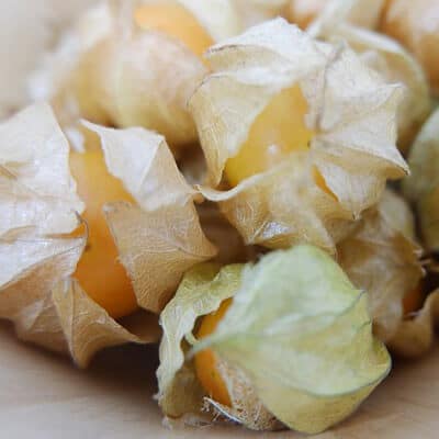 Golden Berries Golden Berries