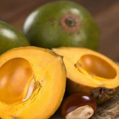 Lucuma Lucuma