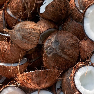 Organic & Conventional Coconut Products Organic & Conventional Coconut Products