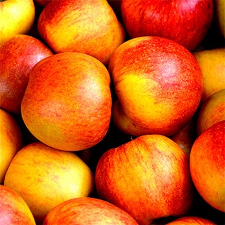 Apple Apple