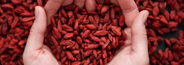 Selling High Quality Goji Berries At Natural Expo Products