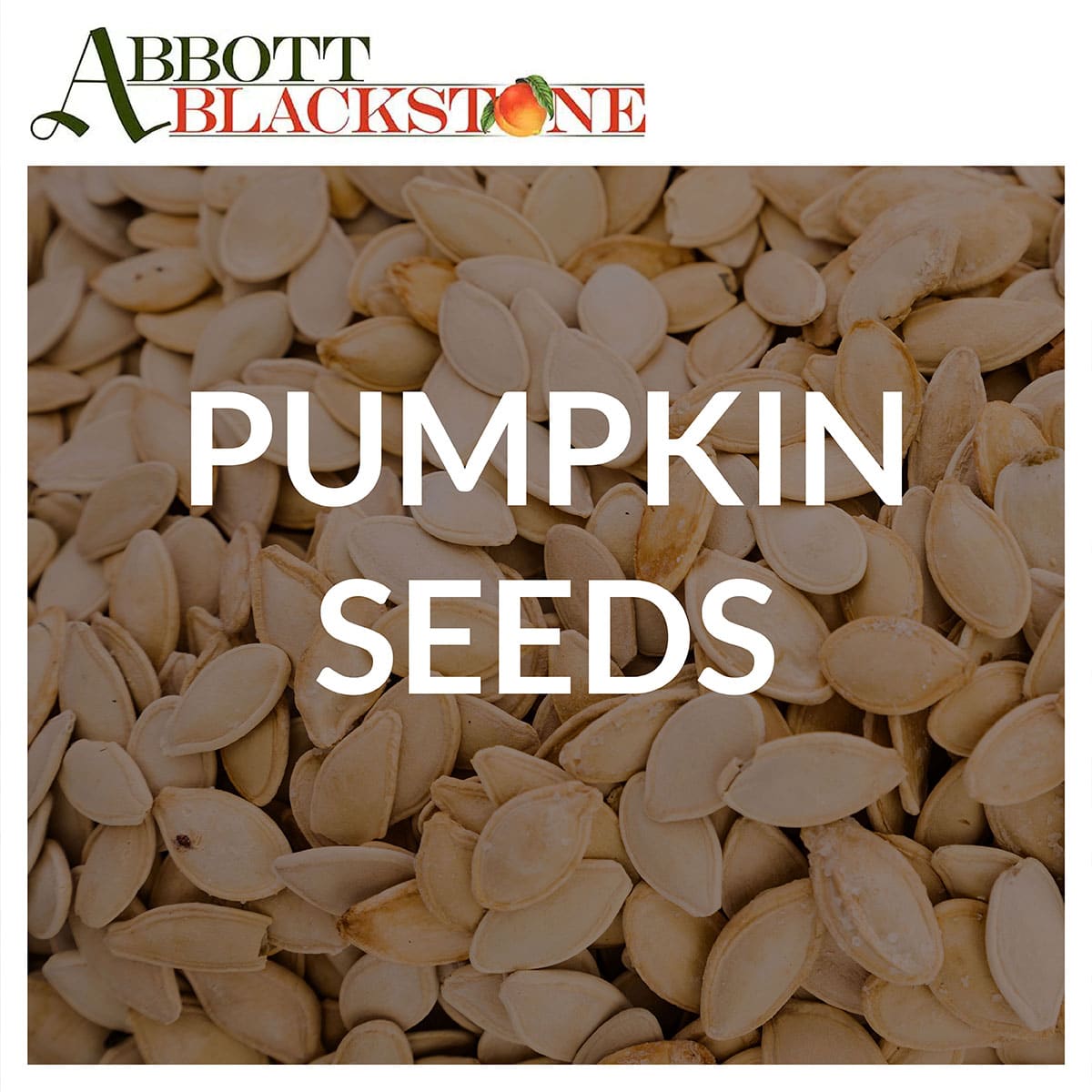 Buy A Pumpkin Seeds In Bulk At Abbott Blackstone
